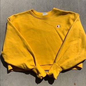 cropped champion crewneck